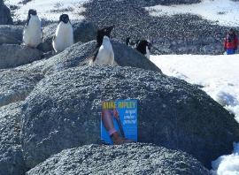 Penguins reading Ripley