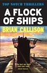 A Flock Of Ships by Brian Callison