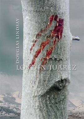 Lost In Juarez by Douglas Lindsay