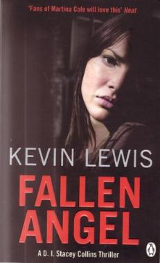 Fallen Angel by Kevin Lewis