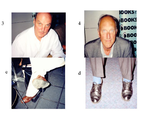 {short description of image}