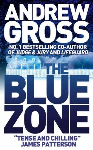 The Blue Zone by Andrew Gross